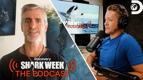 What is the Status of Sharks in our Oceans – Shawn Heinrichs Shark Week The Podcast