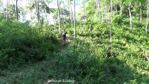 Build complete and warm survival shelter - bushwalk overnight in the wilderness) 1