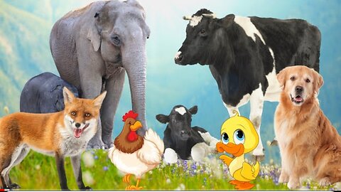 Bustling animal life: cow, dog, elephant, fox, duck