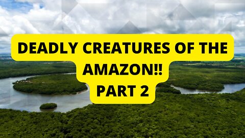 DEADLY CREATURES OF THE AMAZON!! PART 2