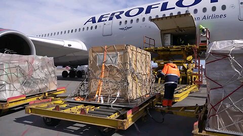 Striped passenger on board🐯The Amur tiger was carefully delivered from Vladivostok to Moscow 🧡