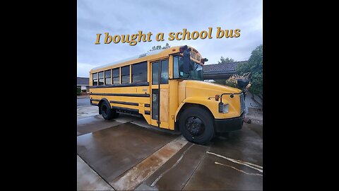 I bought a School bus