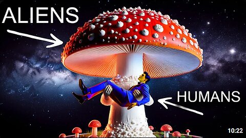 The Mushroom Theory