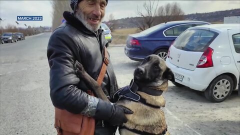 Fort Collins veterinarian sending mobile clinic to Ukraine to provide free medical care to animals