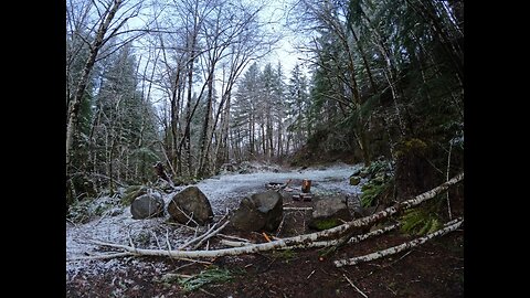 JORDAN CREEK ROAD; CAMPSITE 2