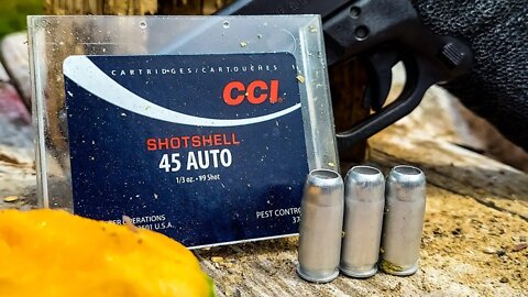 45acp Shotshells vs Canteloupe #shorts