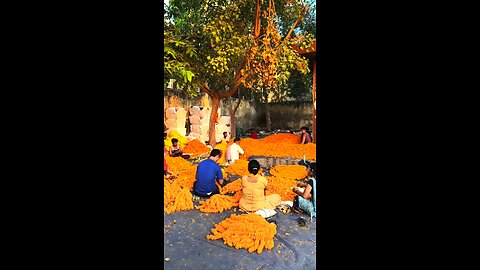 “ Flower market aesthetics ” 🌸🪻🌼 . . . . . #films #flowers #flower #delhi # #india #shotoniphone