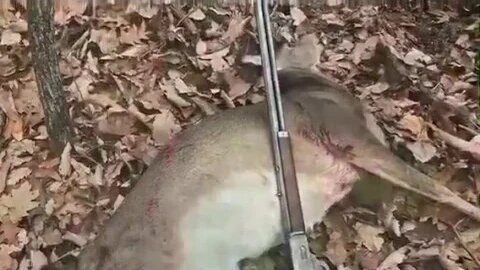 DOE KILL!!! 113 Yr Old Rifle!!! Deer Hunting 2019