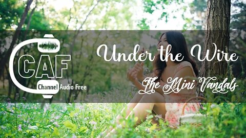 CAFree – Under the Wire – The Mini Vandals