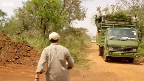 Giraffes Released into New Home _ Saving Giraffes Part 5 _ Africas Gentle Giants _