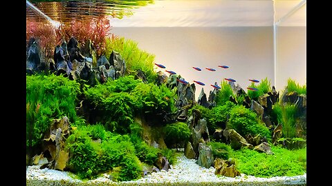 Smart Aquascaping Techniques by an Engineer that will change the way you build your rock scapes !!