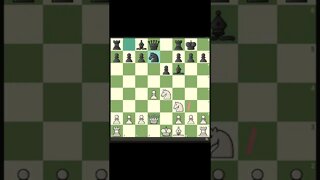 JUDIT POLGAR DESTROI DEFESA FRANCESA #Shorts #Xadrez #Chess