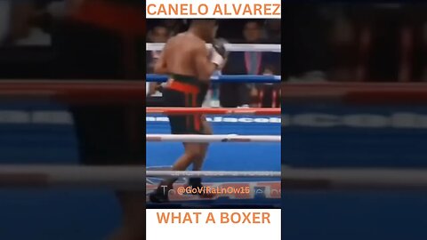 CANELO ALVAREZ BOXING TRAINING