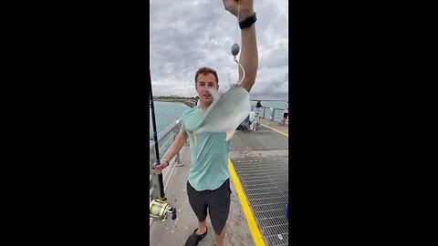 Massive Fish Catching