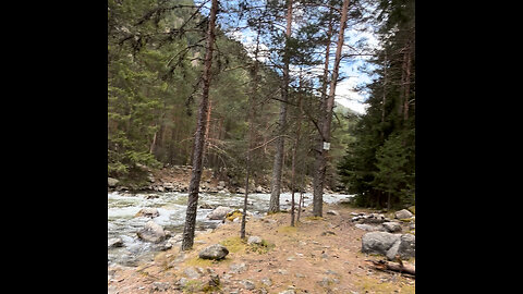 POV:forest walk & river