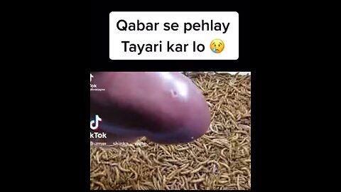 Qabar Ka Azaab