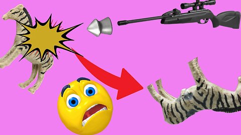 Pellet Gun Shoot VS Toy Zebra