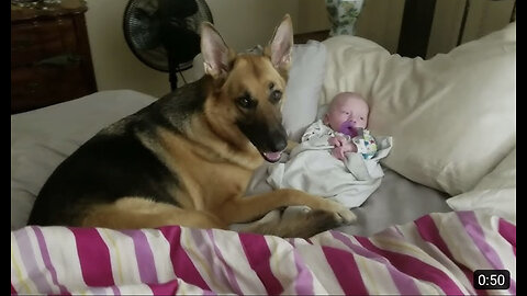 A pup and her baby