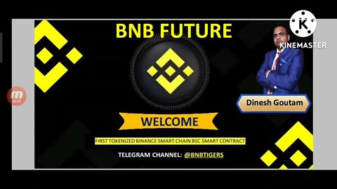 BNB FUTURE ही क्यू करे || BNB FUTURE Plan in Hindi || By Dinesh Kumar 7905556770