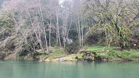 Beautiful Oregon waterfall in the Costal range.