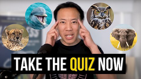 Discover Your Brain Type | Are you a Cheetah, Owl, Dolphin, or Elephant?