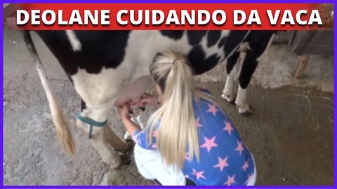 A Fazenda 2022: Deolane Cuidando da Vaca Pela 1ª Vez, E Chama Vaca De Kerline!