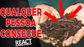 COMO CRIAR MINHOCAS EM CASA! REACT