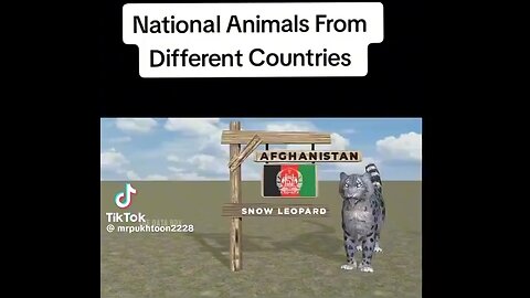 National Animals from different countries #world #nationalanimals #infromationvideo #viral