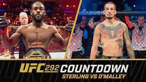 Sean O’Malley vs Aljamain Sterling: The Stunning Knockout that Shocked the World