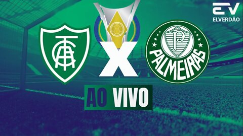 4mer1c4 mg x p4almeir4s ao v1v0, 20:hrs 21/07 #palmeiras#palmeirasaovivo #américamg