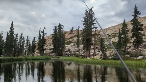 Tenkara fishing in Heaven