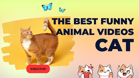 Hilarious Animal Antics and Comical Capers Compilation for Endless Laughter!