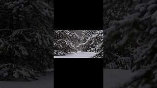 Winter Snow Sound - For Full video Link in the Description