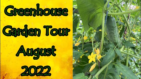 Greenhouse Garden Tour August 2022