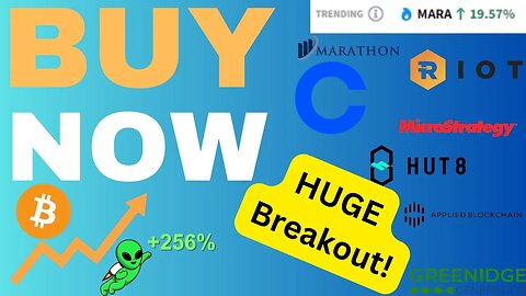 TOP crypto stocks you need to buy NOW! Breakdown of MARA, RIOT, COIN, MSTR, HUT, APLD & GREE!