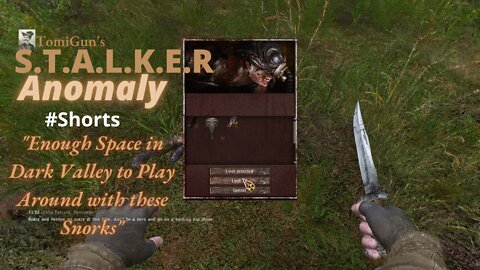 Enough Space in Dark Valley to Play Around with these Snorks - S.T.A.L.K.E.R Anomaly Shorts