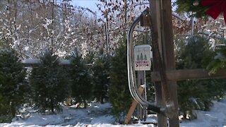 Kurtz Christmas Trees keeping holiday spirits bright during difficult times