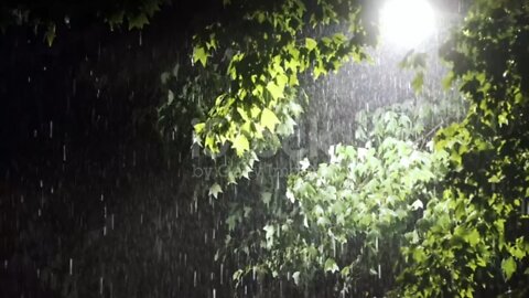 Heavy Rain Falling on Trees 🌳 with Street Light Above, For Sleep & Relaxation😴