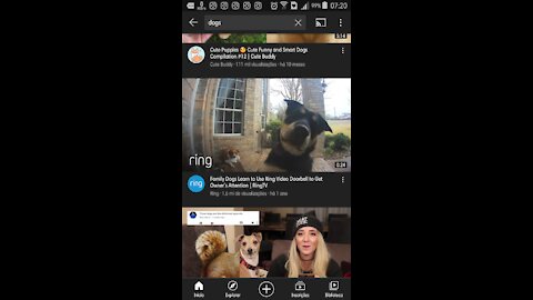 | Family Dogs Learn to Use Ring Video Doorbell to Get Owner’s Attention | RingTV |