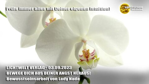 BEWEGE DICH AUS DEINER ANGST HERAUS! - Bewusstseinsarbeit von Lady Nada ~ LWV