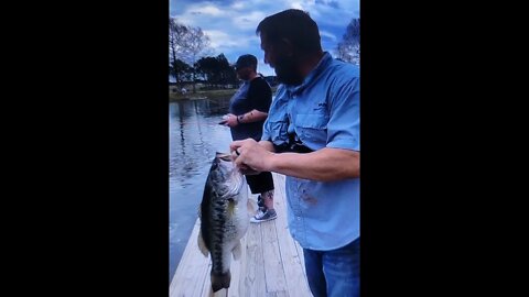 Big bass caught on light tackle while on family outing at Athens fish hatchery.