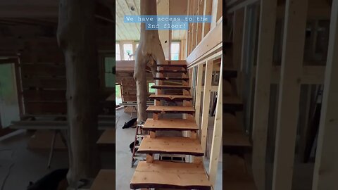 Rough cut Hemlock stairs are in! #homesteading #loghome #homesteadingfamily #stairs #housedesign