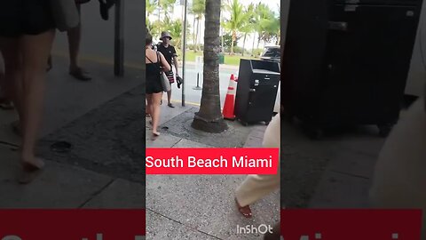 insane action on ocean drive miami beach #miambeach #shorts