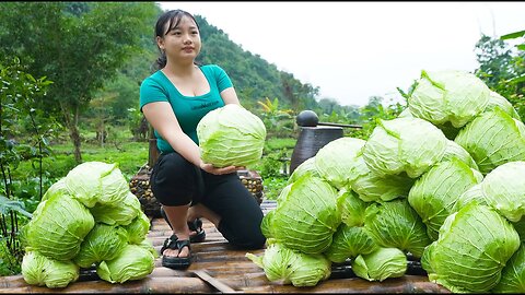 Harvest and Sell Cabbage in the Garden - Relaxing Cooking with Fried Spring Rolls in Vietnam