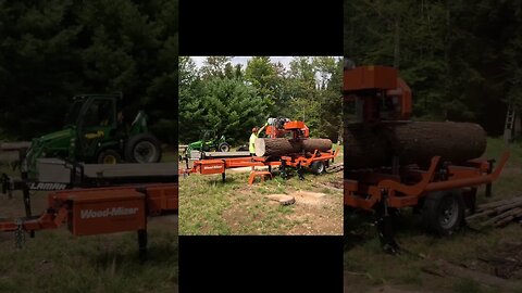 Huge White Pine Log on Woodmizer - The Base Log Short