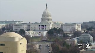 Local Democrats plan to watch the Biden-Harris inauguration remotely