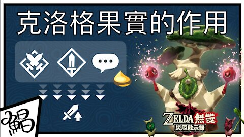 克洛格果實的作用｜《Zelda無雙 災厄啟示錄》Hyrule Warriors: Age of Calamity 鯧鯧鯧