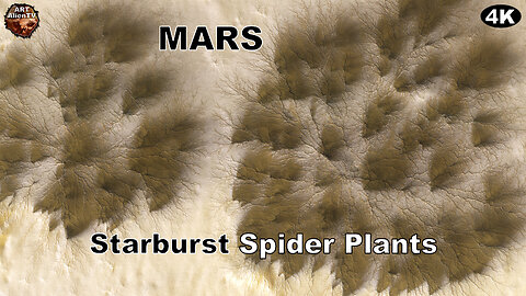 MARS Starburst Spider Plants. 1 km Organisms. ArtAlienTV 4K