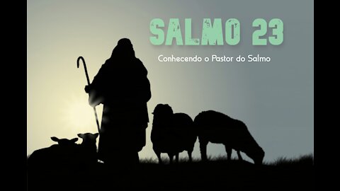 Salmo 23