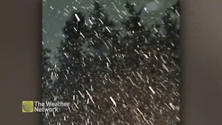 Heavy snowfall fills the night sky and continues to pile up